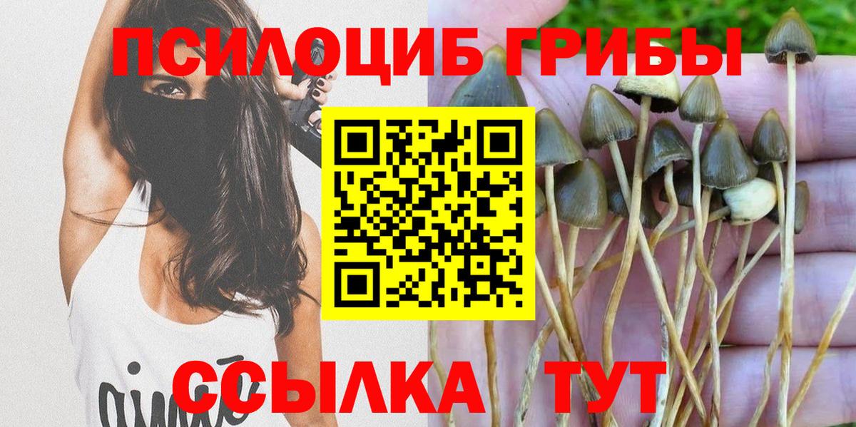 Галлюциногенные грибы Magic Shrooms  Вход с VPN  Псилоцибиновые грибы прущие грибы  купить наркоту  Нерюнгри 